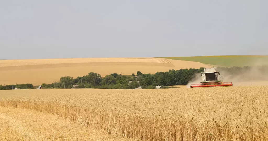 Багато років поспіль Україна є одним із лідерів експорту агропромислової продукції, гарантуючи продовольчу безпеку у світі. Українські зернові, бобові, олію, ягоди, м’ясо та молочні продукти купують не тільки країни ЄС, а й США, Канада, Китай та багато інших держав. І хоча пандемія коронавірусу завдала збитків багатьом експортерам, деякі позиції навіть вдалось наростити.