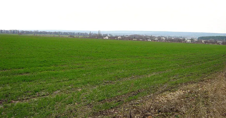 Фото Чугуївської РВА На Чугуївщині торік засіяно озиминою у шість разів більше ніж у 2022 на порталі Gromada Group