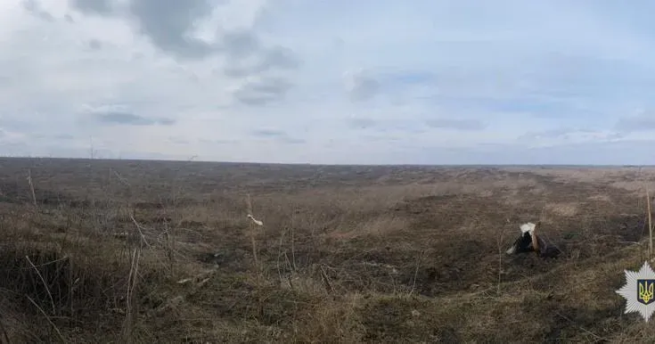 Фото Національної поліції В Чугуївському районі виявлені останки трьох людей: поліція встановлює особи загиблих на порталі Gromada Group